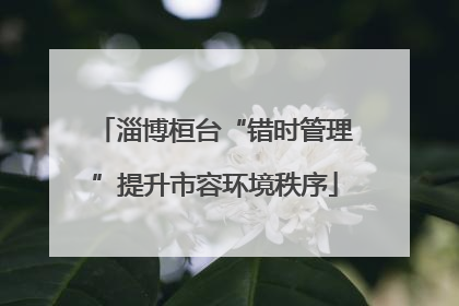 淄博桓台“错时管理”提升市容环境秩序